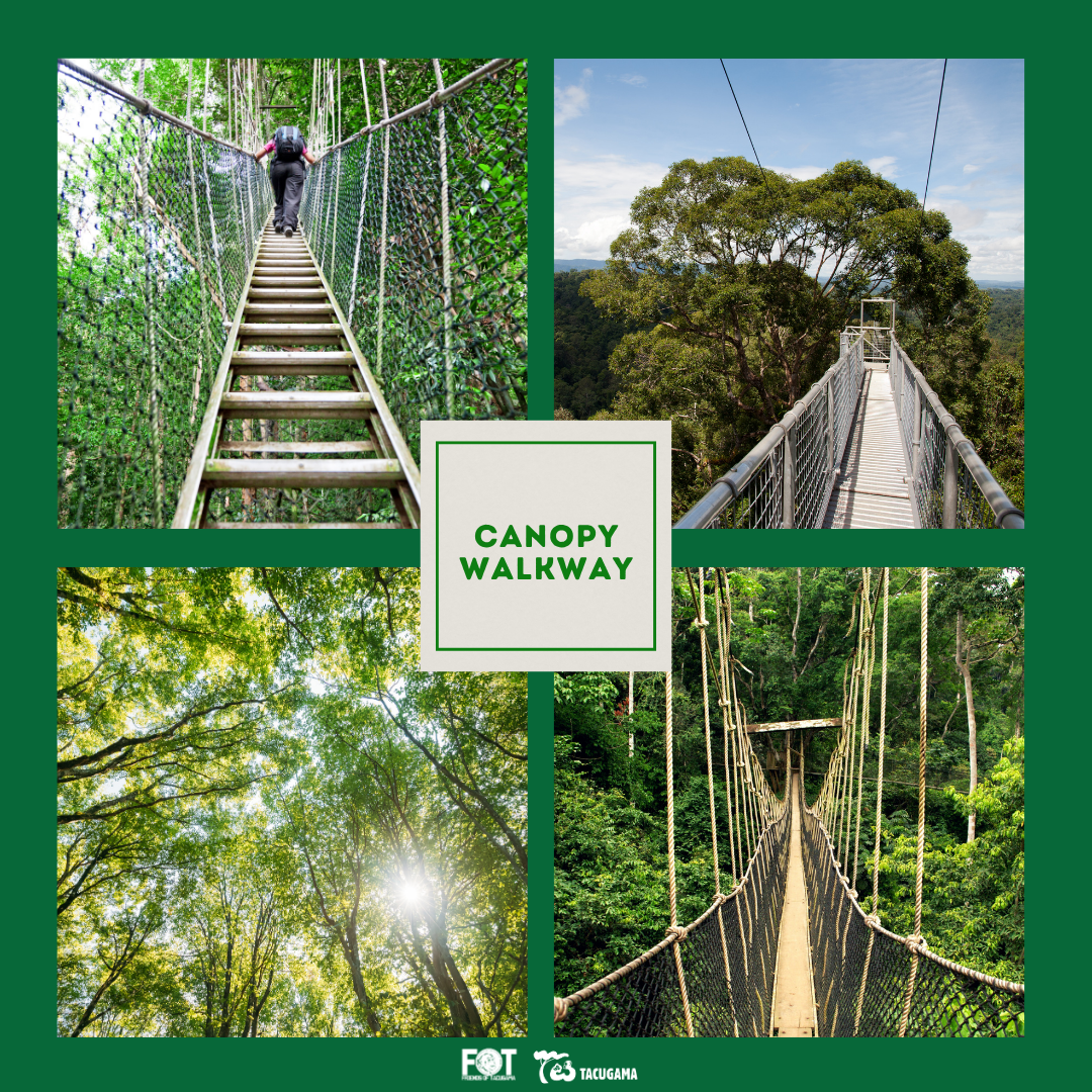 Name the Canopy Walkway